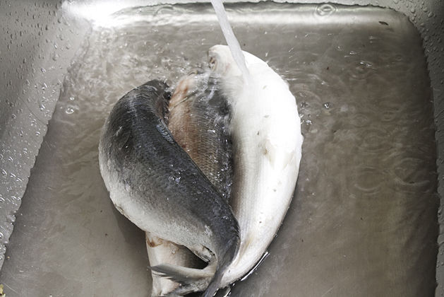 Thawing Frozen Fish